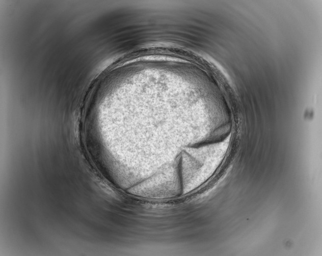 X0000101960921200808151312