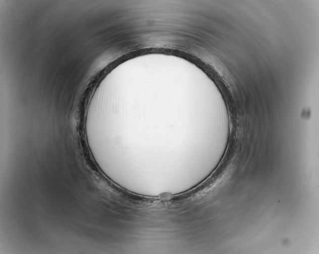 X0000101960922200808151312