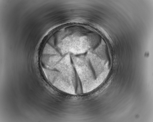 X0000101960923200808151312