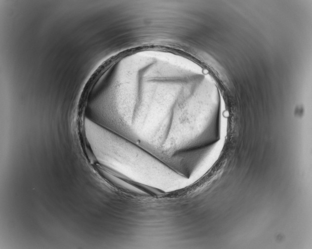 X0000101960924200808151312