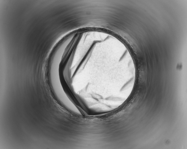 X0000101960926200808151312