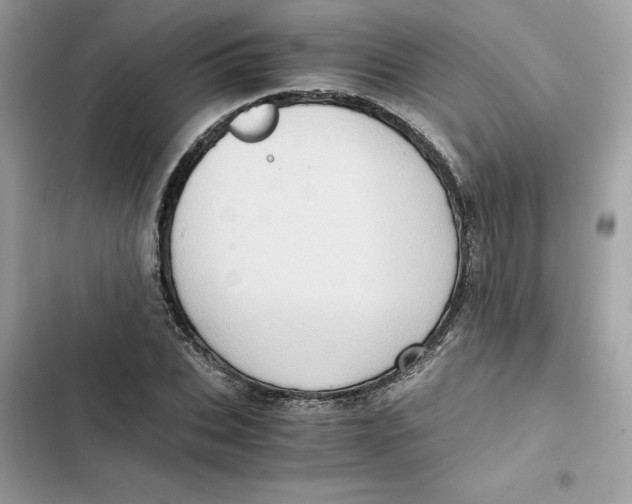 X0000101960927200808151312