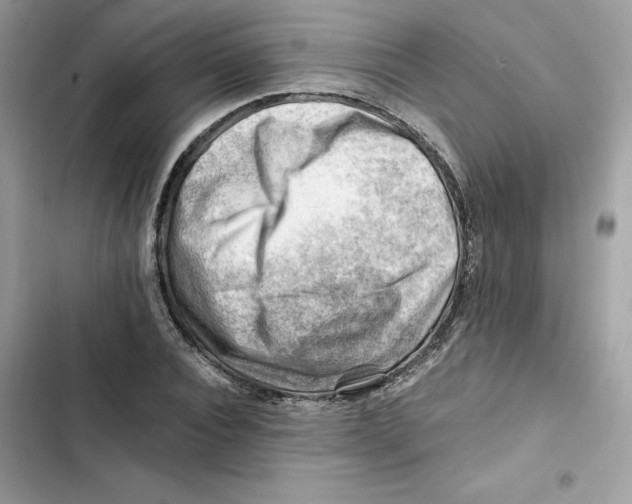 X0000101960928200808151312