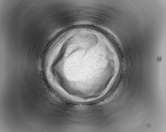 X0000101960929200808151312