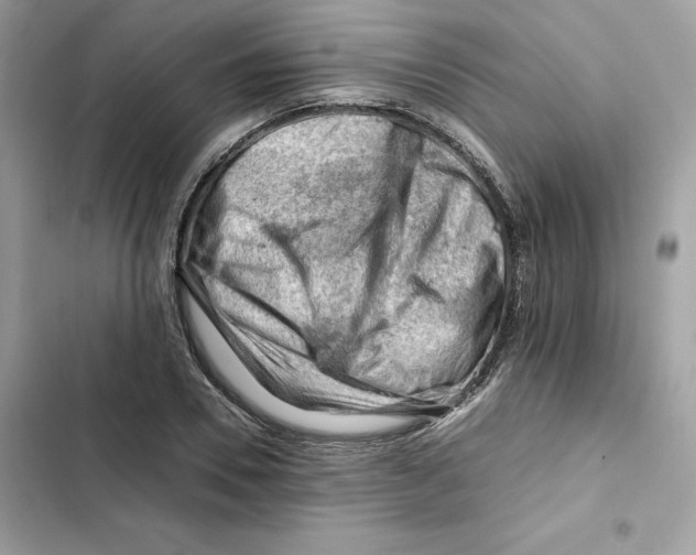 X0000101960930200808151312