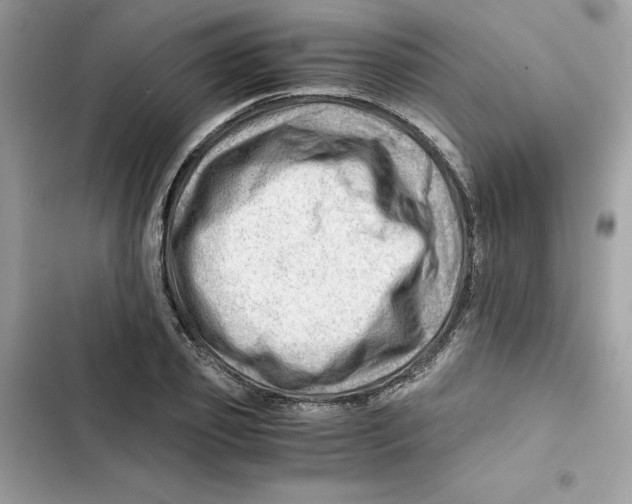 X0000101960933200808151312