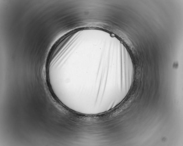 X0000101960936200808151312