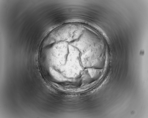 X0000101960937200808151312