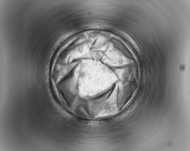 X0000101960938200808151312