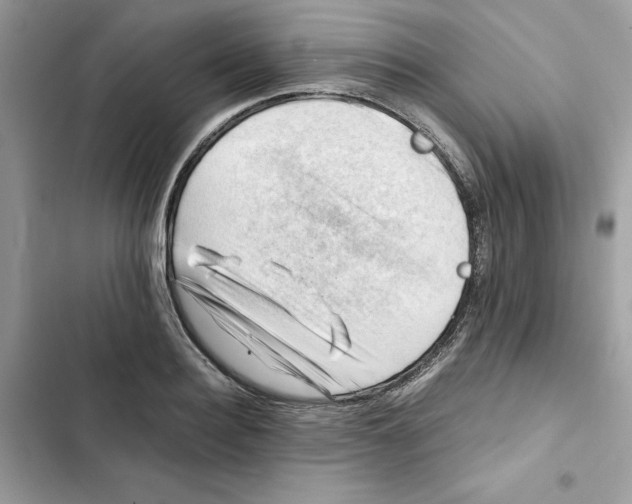 X0000101960940200808151312
