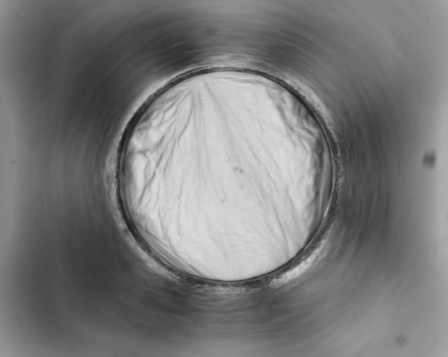 X0000101960941200808151312