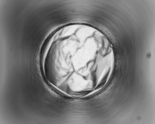 X0000101960942200808151312