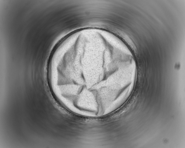 X0000101960944200808151312