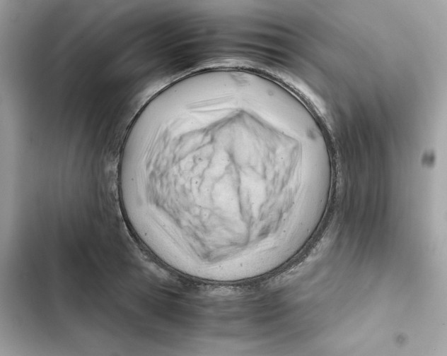 X0000101960945200808151312