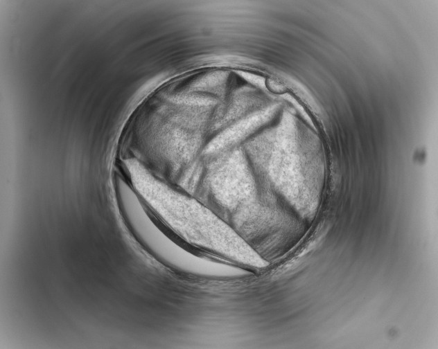 X0000101960946200808151312