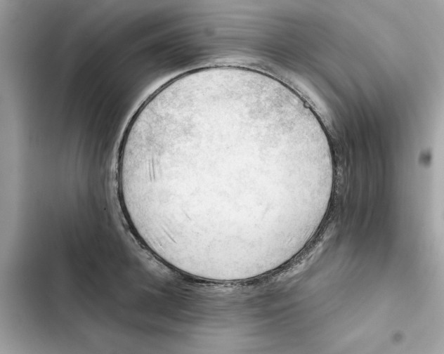 X0000101960948200808151312