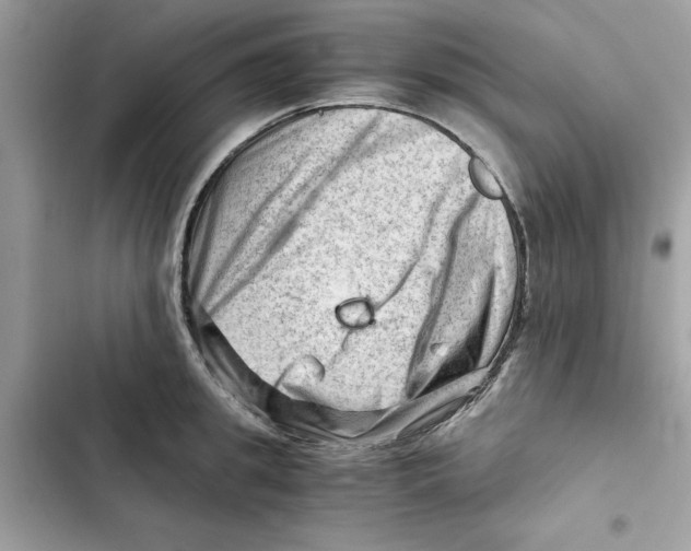 X0000101960949200808151312