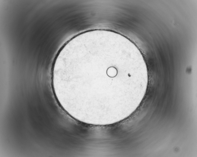 X0000101960950200808151312
