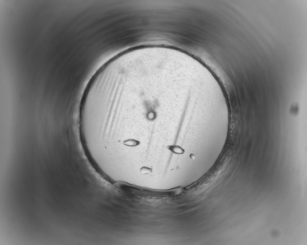 X0000101960951200808151312