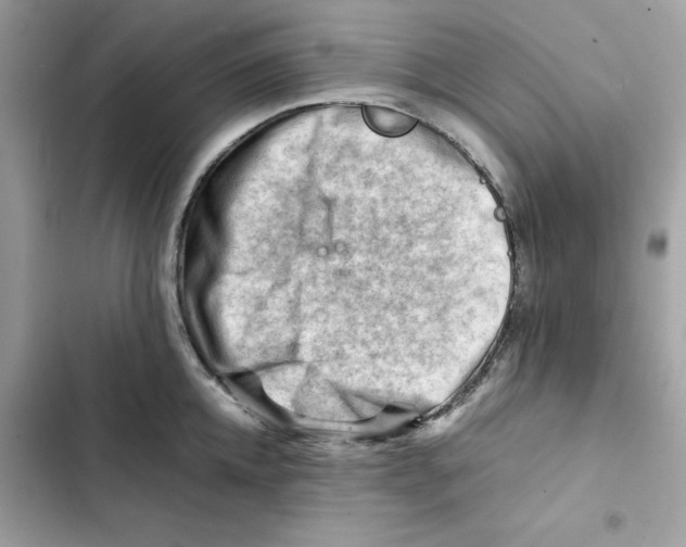 X0000101960952200808151312