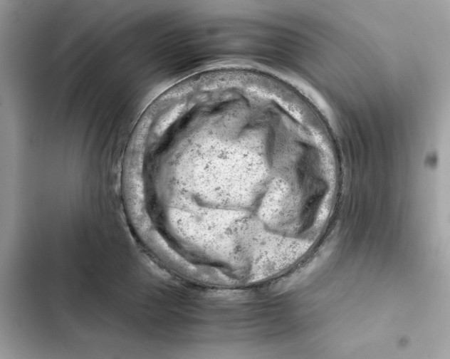 X0000101960953200808151312