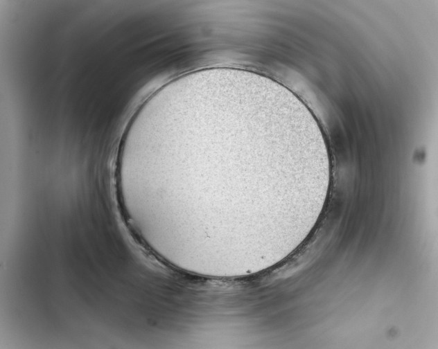 X0000101960954200808151312