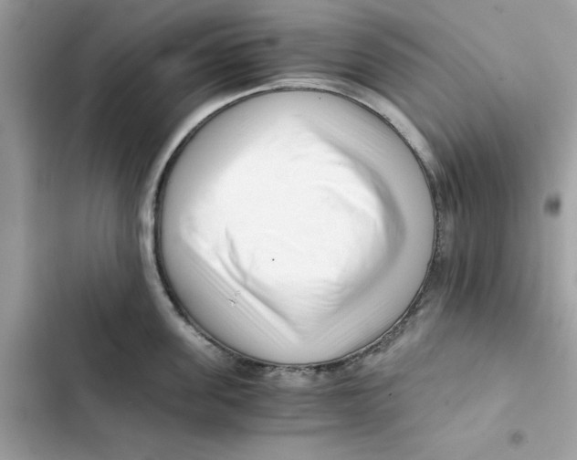 X0000101960955200808151312