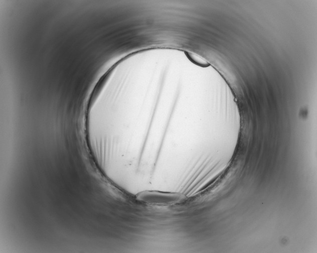 X0000101960956200808151312