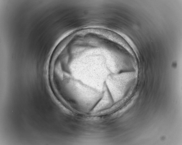 X0000101960957200808151312