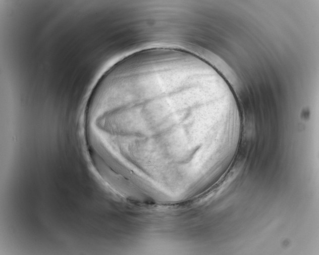 X0000101960958200808151312