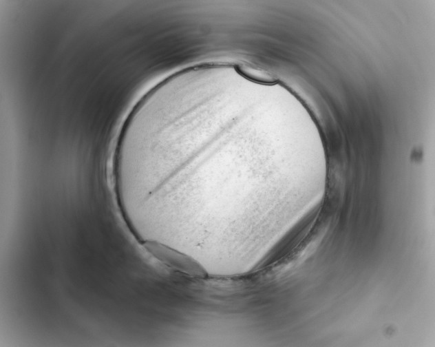 X0000101960959200808151312
