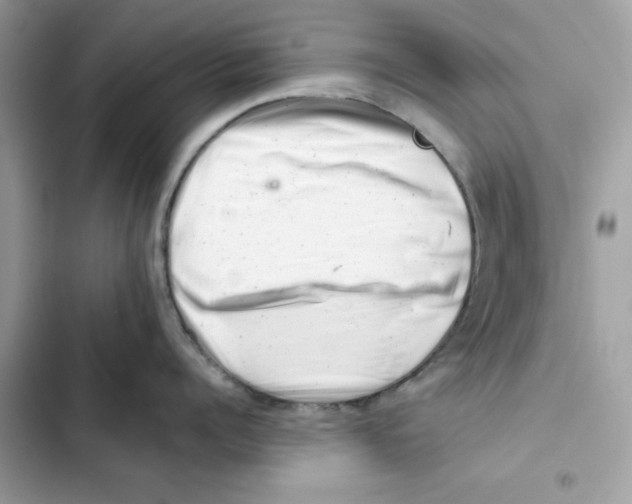 X0000101960960200808151312