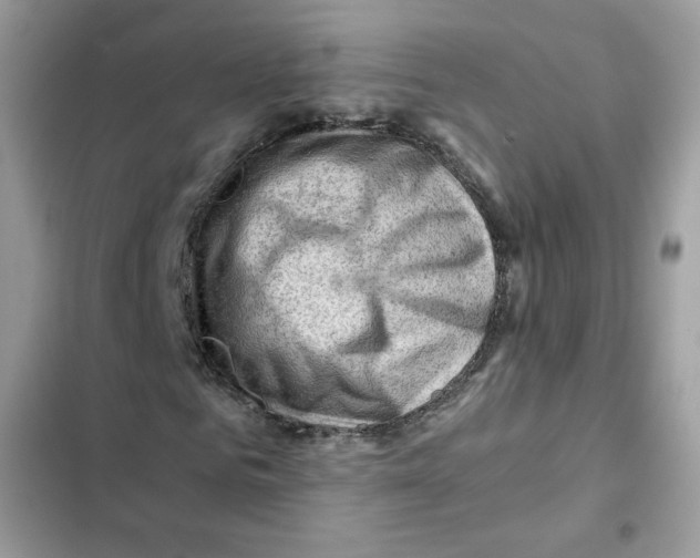 X0000101960961200808151311