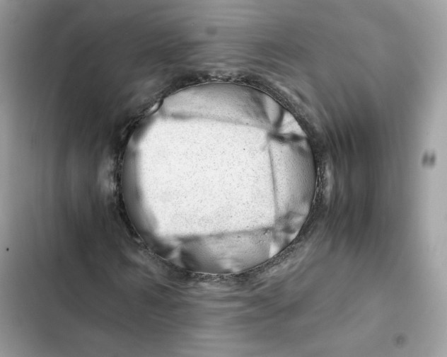 X0000101960962200808151311