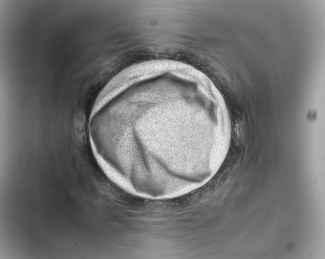 X0000101960963200808151311