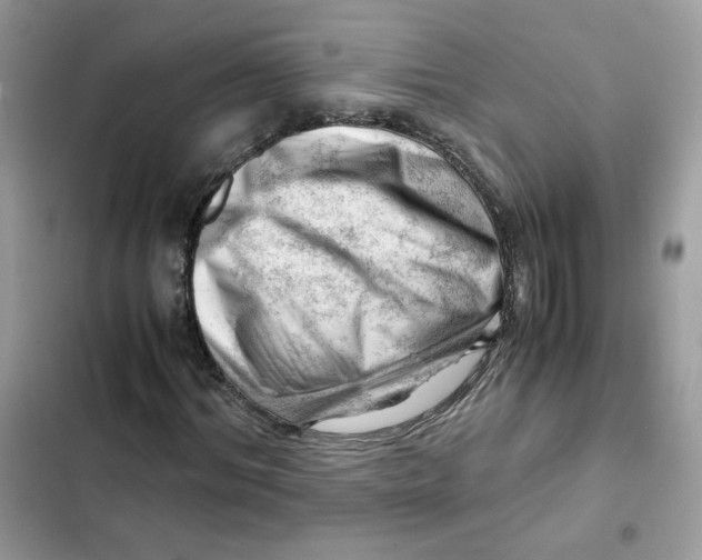 X0000101960964200808151311