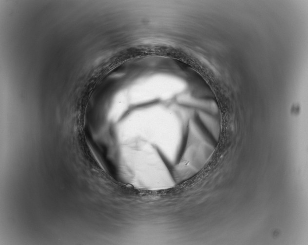 X0000101960965200808151311