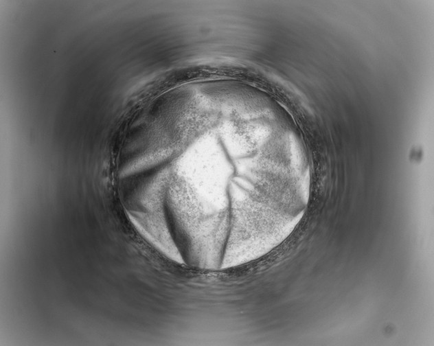 X0000101960966200808151311