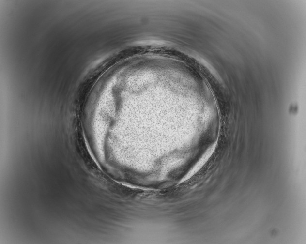 X0000101960967200808151311