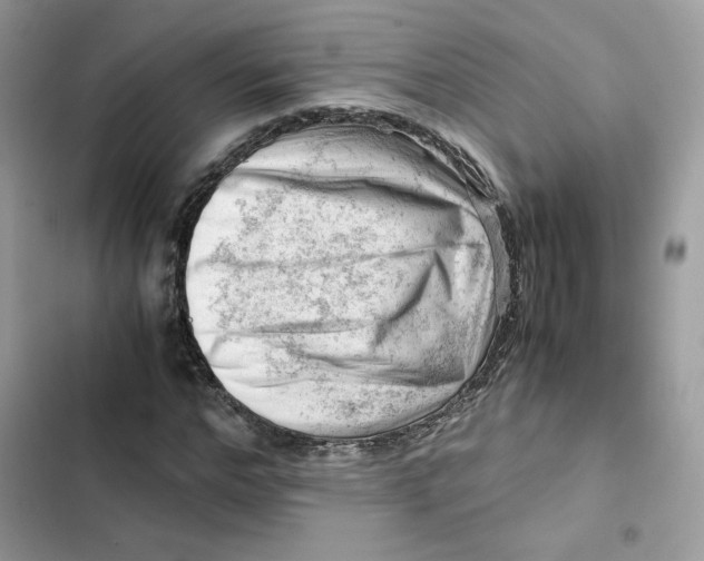 X0000101960968200808151311