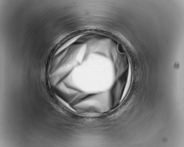X0000101960969200808151311
