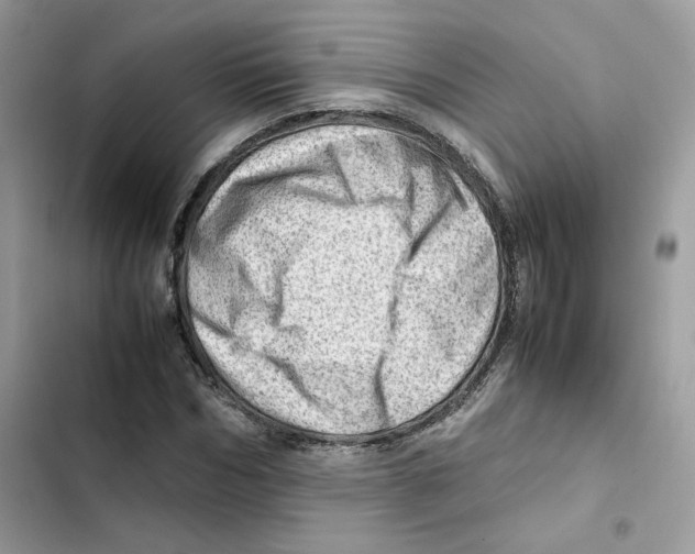 X0000101960970200808151311