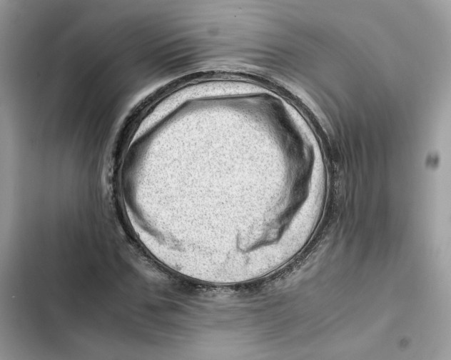 X0000101960971200808151311