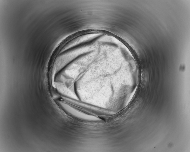 X0000101960972200808151311