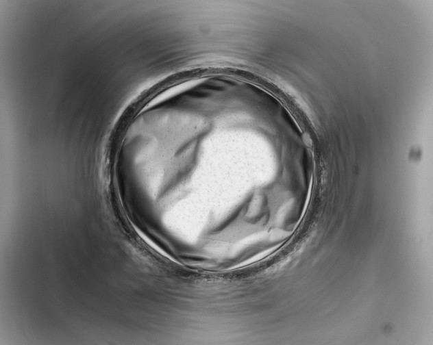 X0000101960973200808151311