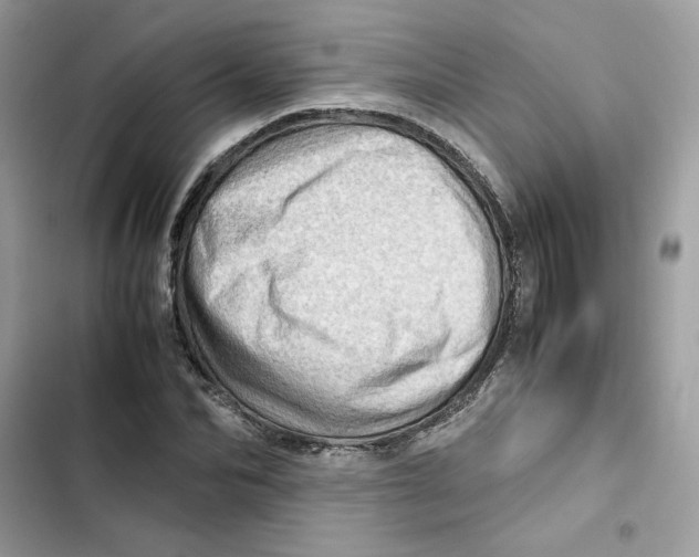 X0000101960974200808151311
