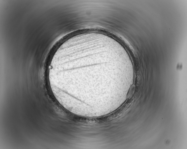 X0000101960975200808151311
