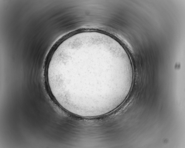 X0000101960976200808151311