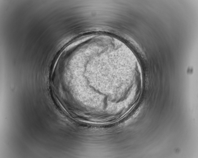 X0000101960977200808151311