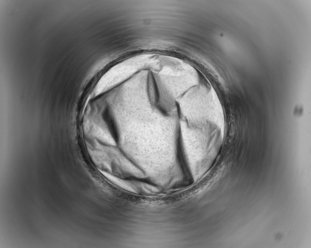 X0000101960978200808151311